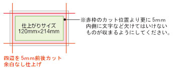 大判ポストカード